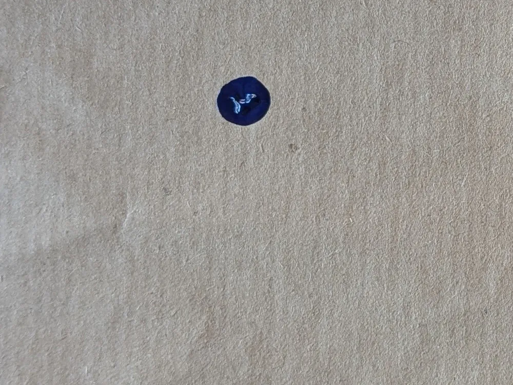 Step 1: First dot